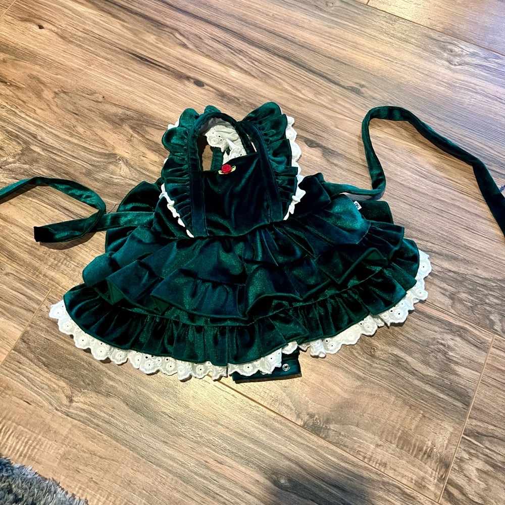 Bums and Roses velvet holiday dress